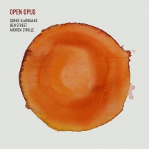 Open Opus-lowres